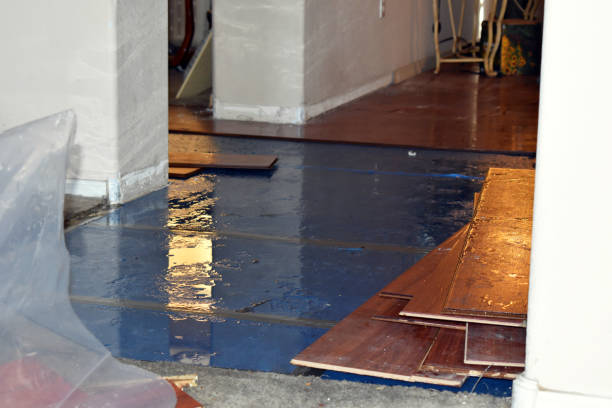 Professional Basement Flooding technician working in Woodway, WA